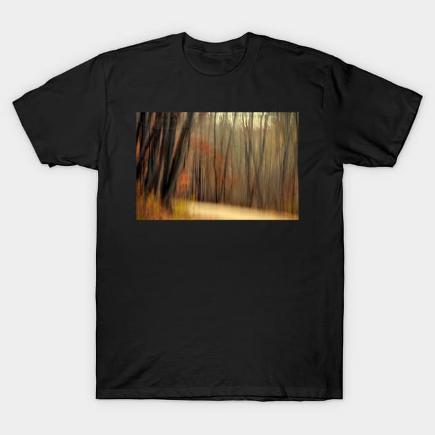 Country Road #3 T-Shirt by LaurieMinor